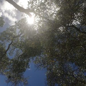 Meet your Posher, Renaldo